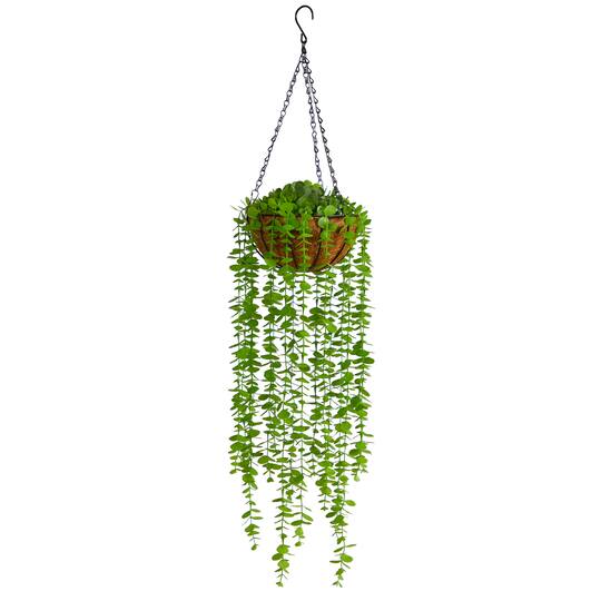 3ft. Eucalyptus Artificial Plant in Hanging Basket
